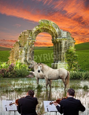 Papier peint  Chevaux et concert d'instruments à cordes