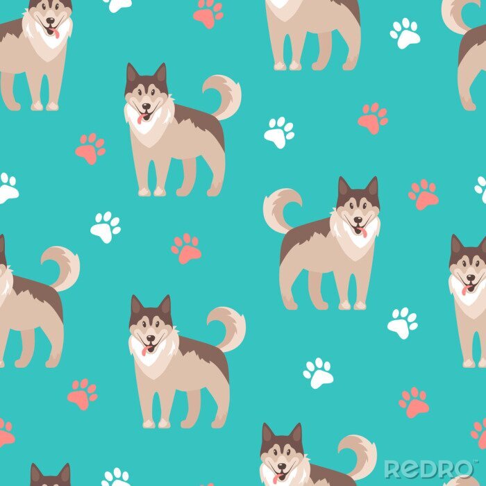 Papier peint  Chiens huskys sur fond turquoise