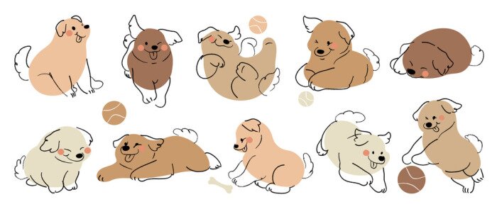 Papier peint  Chiens jouant au ballon