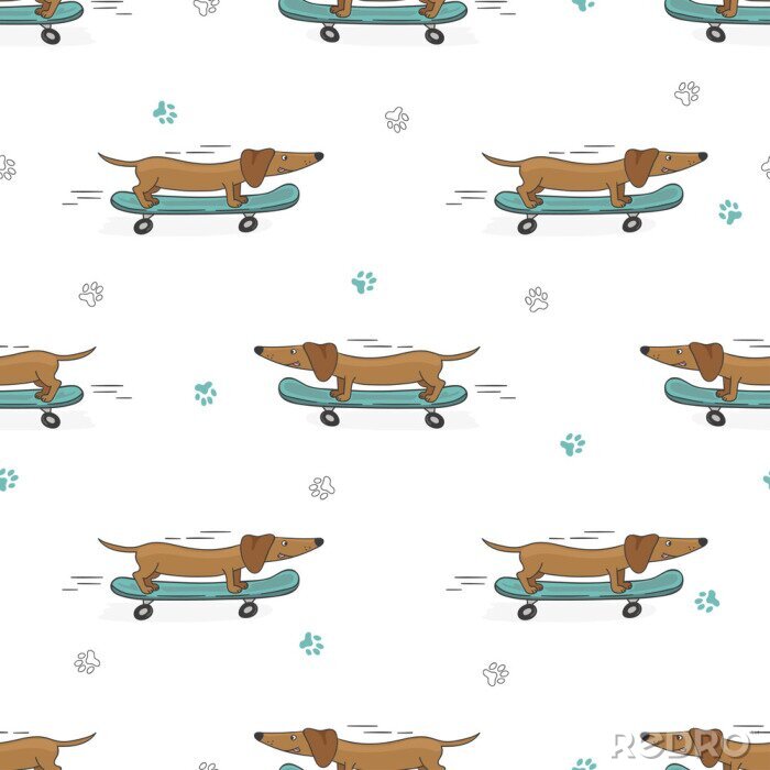 Papier peint  Chiens sur un skateboard