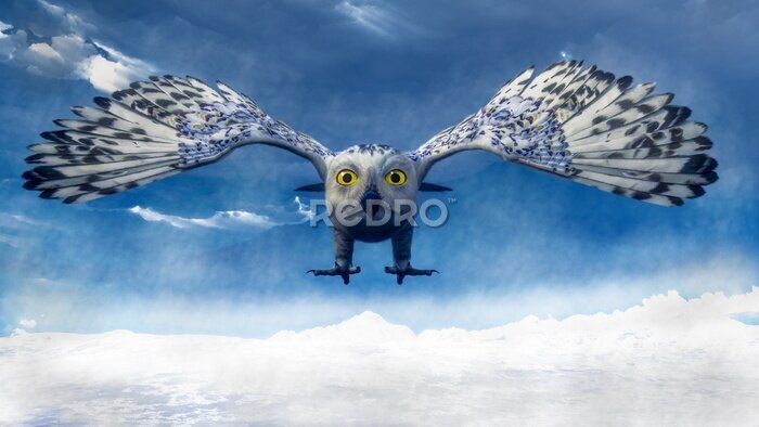 Papier peint  Chouette 3D en vol avec un ciel bleu en arrière-plan