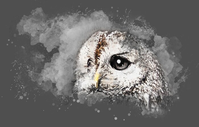 Papier peint  Chouette aquarellée avec de grands yeux sur un fond gris