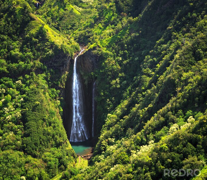Papier peint  Chute d'eau au milieu d'une forêt