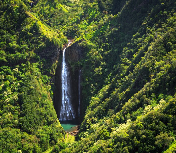 Papier peint  Chute d'eau au milieu d'une forêt