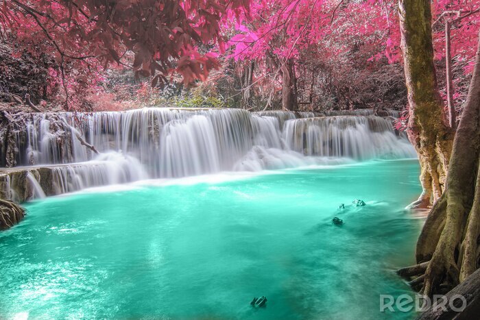 Papier peint  Chute d'eau avec des feuilles roses sur les arbres