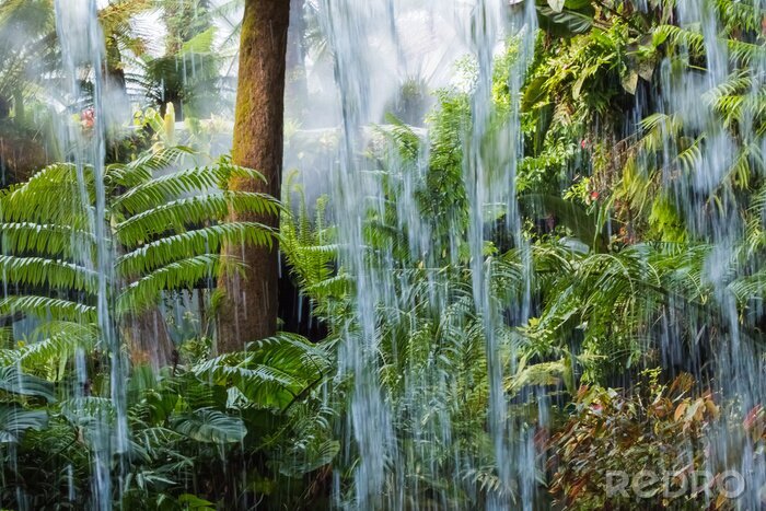 Papier peint  Chute d'eau dans la forêt tropicale
