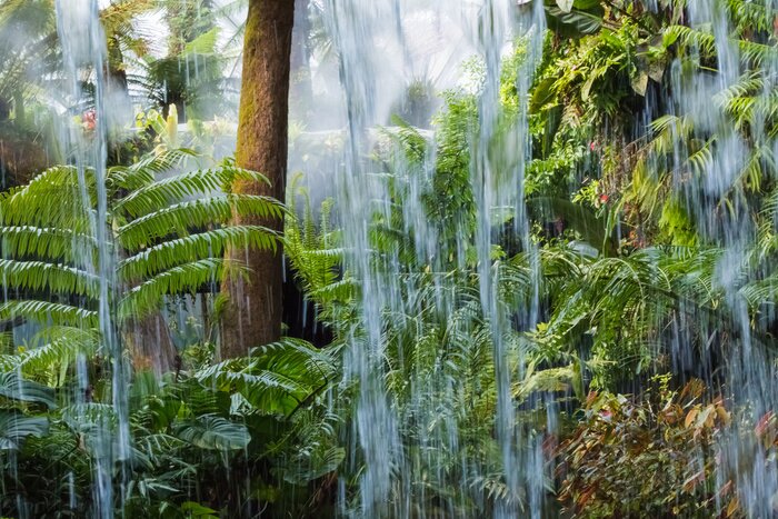 Papier peint  Chute d'eau dans la forêt tropicale