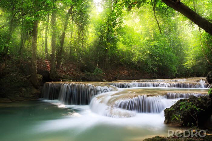 Papier peint  Chute d'eau dans la jungle