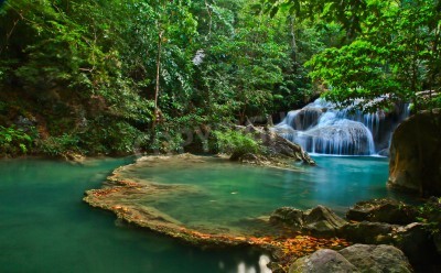 Papier peint  Chute d'eau et eau turquoise dans la forêt vierge