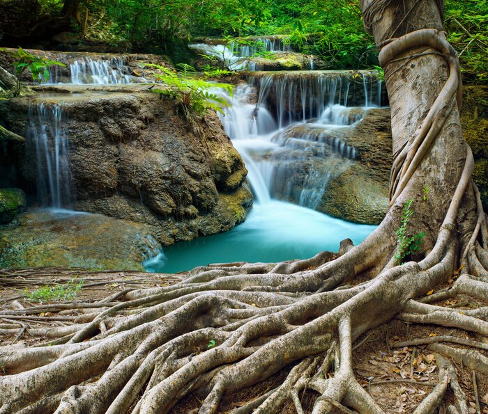 Papier peint  Chute d'eau et forêt tropicale