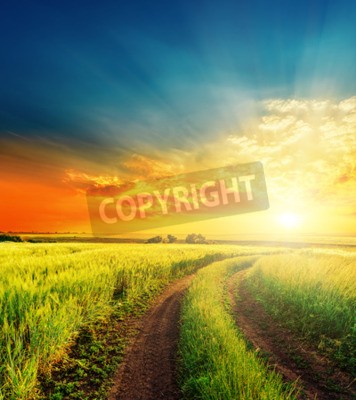 Papier peint  Ciel au-dessus d'un champ vert