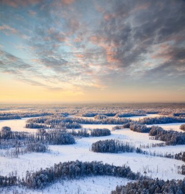 Papier peint  Ciel au-dessus d'une forêt hivernale