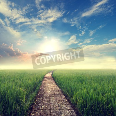 Papier peint  Ciel au-dessus d'une route claire