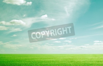 Papier peint  Ciel au-dessus de l'herbe verte