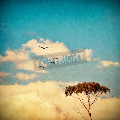 Papier peint  Ciel brumeux au-dessus de la ville