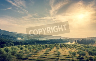 Papier peint  Ciel de Toscane