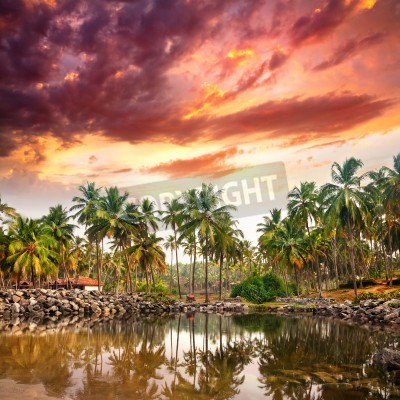 Papier peint  Ciel rose au-dessus des tropiques