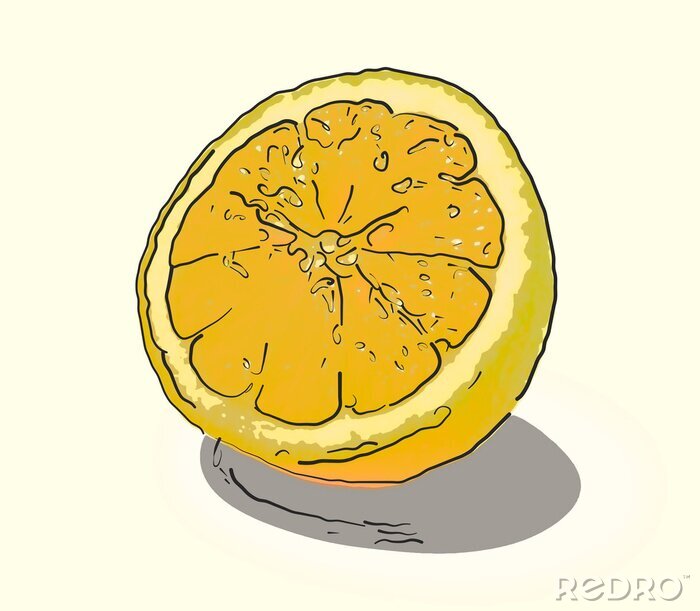 Papier peint  Citron coupé en deux illustration moderne