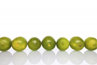 Papier peint  Citrons verts disposés en ligne