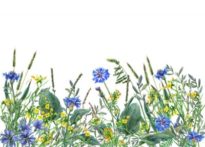 Papier peint  Clairière bleuets et fleurs jaunes