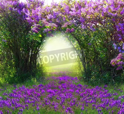 Papier peint  Clairière de printemps