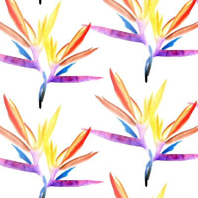 Papier peint  close seamless pattern of multicolored strelitzia flower hand-painted in watercolor on a white background. tropical strelitzia bright flower petals blue purple orange red yellow on white background fo
