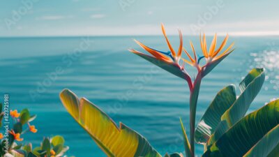 Papier peint  Close-up image of the tropical flower Strelizia "Bird of Paradise" on the seashore background