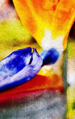 Papier peint  Close up of a new strelitzia reginae blossom