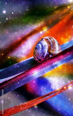 Papier peint  Close up of a Snail on Strelitzia Reginae blossom