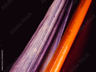 Papier peint  Close up of a Strelitzia flower
