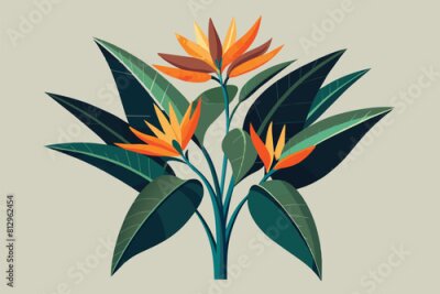 Papier peint  Close-up of a Strelitzia flower and leaves set against a white background, Strelitzia plant Customizable Disproportionate Illustration