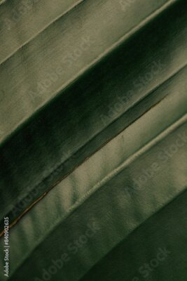 Papier peint  close up of banana leaf, giant white bird of paradise (Strelitzia nicolai) plant	