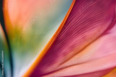 Papier peint  Close-up of Bird of Paradise Petal, Color Gradients, Fine Lines, Macro Photography, Floral Details, Vibrant Pink, purple, green and Orange Flower, High Resolution