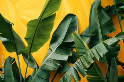 Papier peint  Close up photo of large green banana leaves on a yellow background, in the minimalist interior design style, with natural light, plants, and tropical vibes