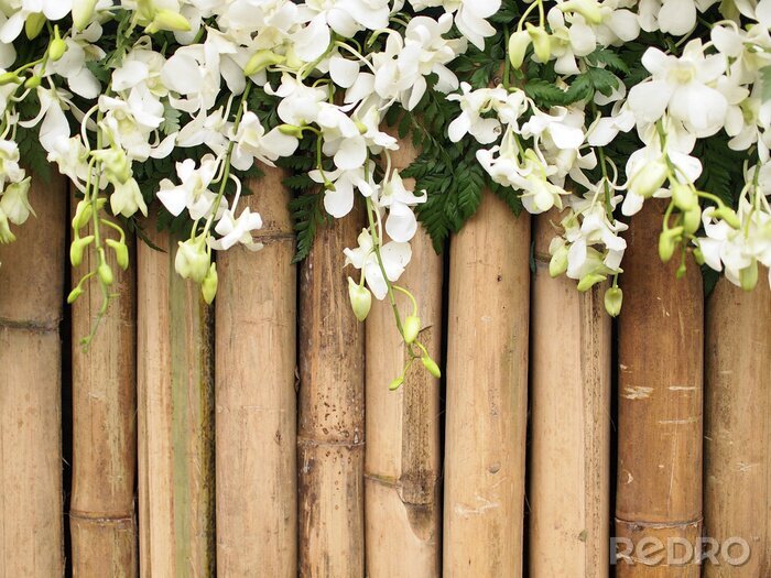 Papier peint  Clôture en bambou avec des fleurs