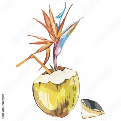 Papier peint  Coconut hand drawn sketch with strelitzia flowers. Watercolor tropical food illustration. Isolated on white background.
