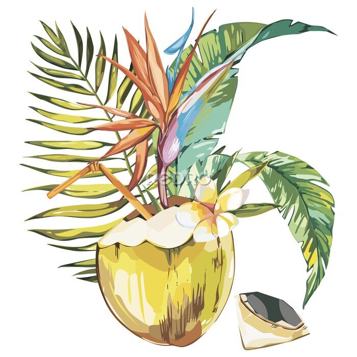 Papier peint  Coconut hand drawn sketch with strelitzia flowers. Watercolor tropical food illustration. Isolated on white background.