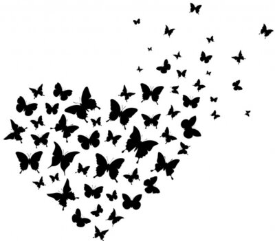 Papier peint  Coeur noir et blanc et papillons