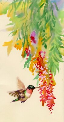 Papier peint  Colibri volant vers des fleurs