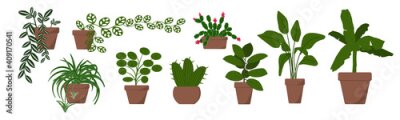 Papier peint  Collection of decorative green plants for interior, home. Nine pots on white background, vector, isolate. Tradiscantia, Schlumberger, Ficus, palm, monstera, cactus, chlorophytum, pelea, strelitzia