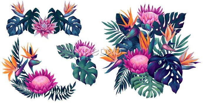 Papier peint  Collection of watercolor tropical bouquets with protea, strelitzia flowers and monstera and palm leaves in vibrant neon colors