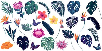 Papier peint  Collection of watercolor tropical flowers and palm leaves, vibrant colored protea, strelitzia, plumeria flowers, butterflies and deep blue monstera, palm leaves