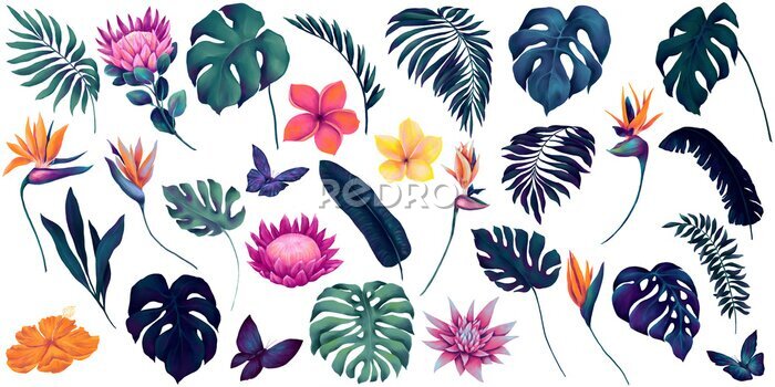 Papier peint  Collection of watercolor tropical flowers and palm leaves, vibrant colored protea, strelitzia, plumeria flowers, butterflies and deep blue monstera, palm leaves