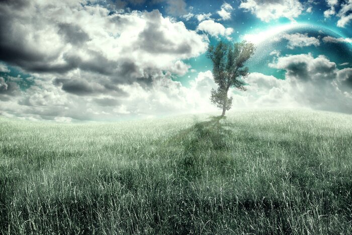 Papier peint  Colline avec un arbre au sommet