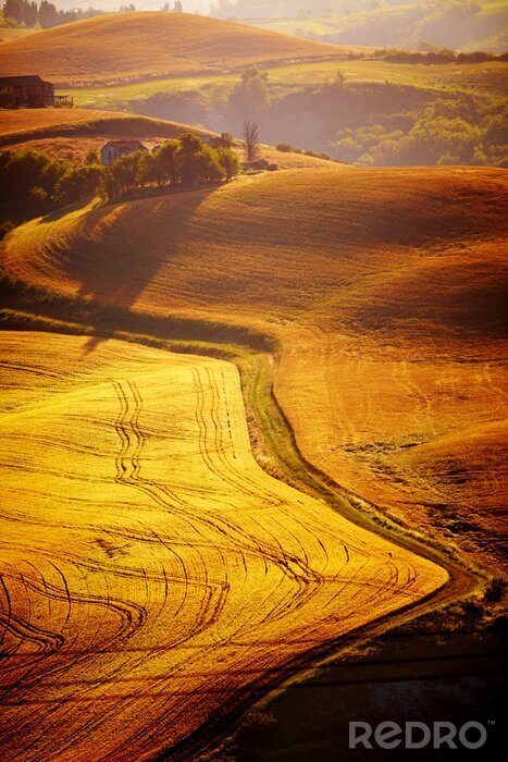 Papier peint  Collines de Toscane en couleur dorée