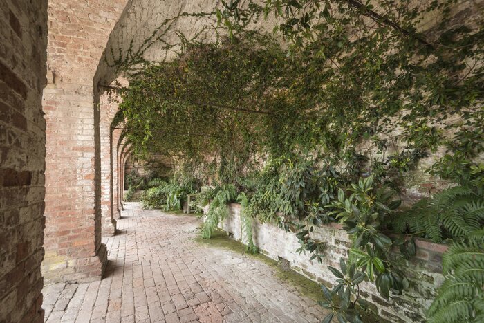 Papier peint  Colonnes près d'un jardin