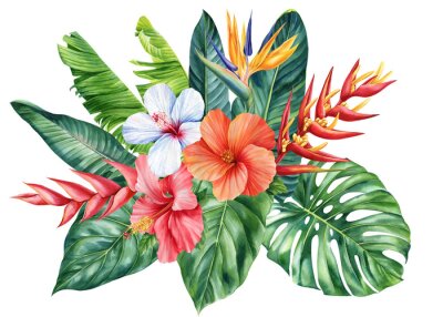 Papier peint  Colored tropical flowers, palm leaves isolated white background, watercolor botanical painting. Strelitzia flora design
