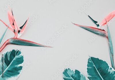 Papier peint  Colorful bright tropical pink pastel background with Bird of Paradise Flower or Strelitzia and copy space