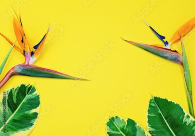 Papier peint  Colorful bright tropical yellow background with Bird of Paradise Flower or Strelitzia and copy space