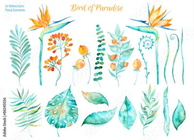 Papier peint  .Colorful Collection floral avec des feuilles et de fleurs tropicales Strelitzia